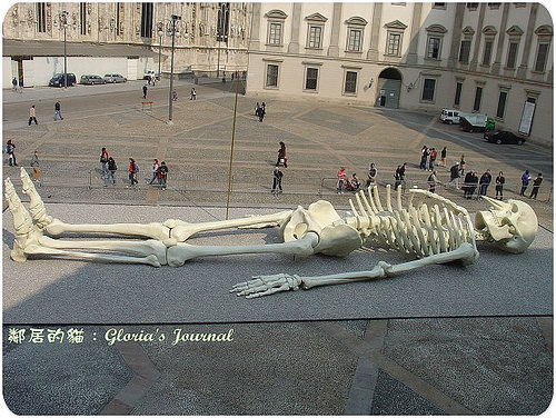 24 meter skeleton has a name: "Calamita Cosmica"