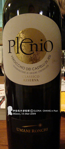 Plenio, Verdicchio Castelli di Jesi, DOC Classico Riserva 2004