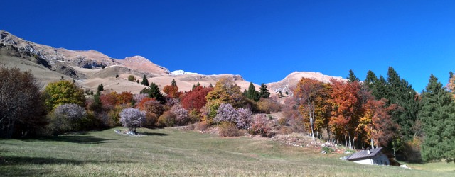 routate_1