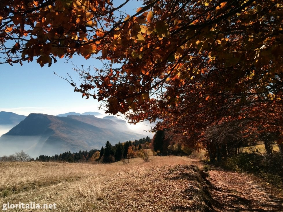 october_slib - 16