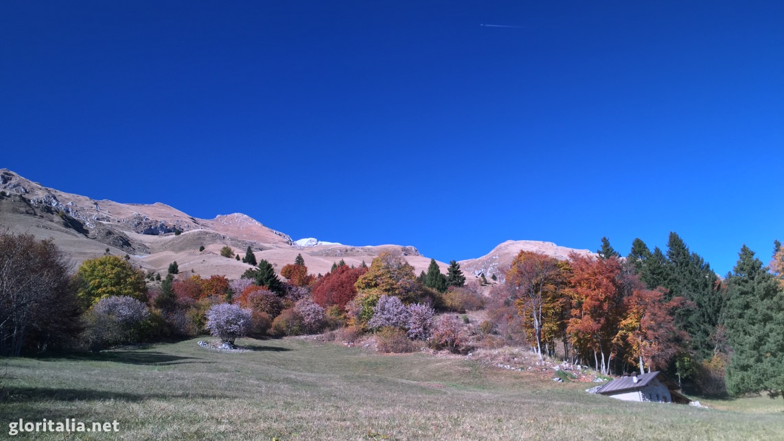 october_slib - 17