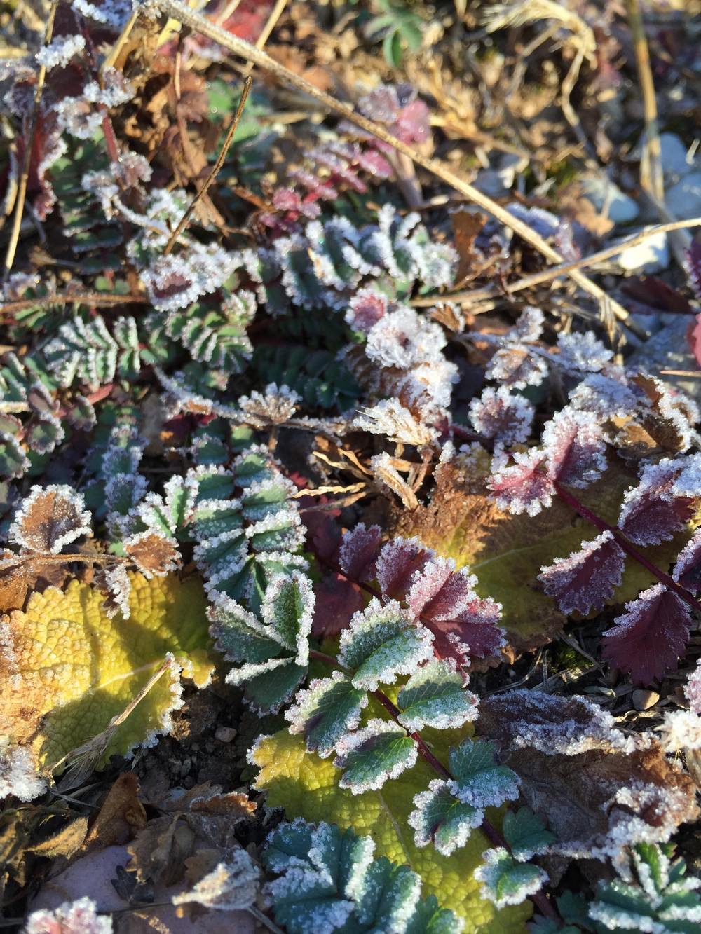 december_slib - 2